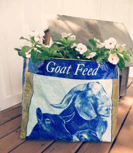 feed bag