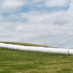 How much hay are you losing in storage?