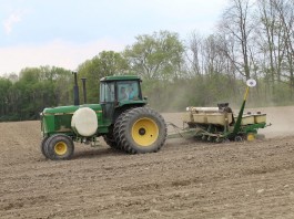 Looking for good news in a soft market planting field