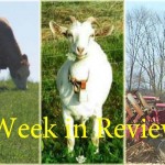 Farm and Dairy’s week in review: 5/2 Week in Review 5/2