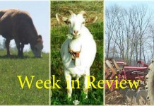 Farm and Dairy’s week in review: 5/2 Week in Review 5/2