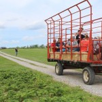 Produce growers hold summer field day in Wayne County