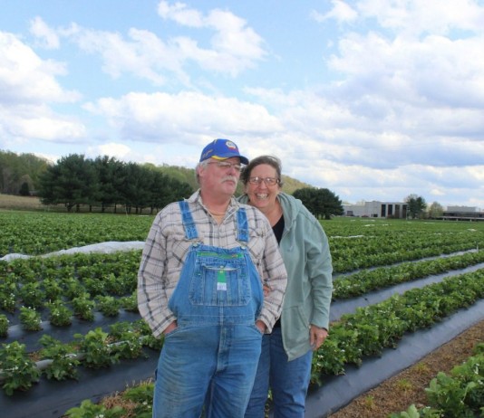 Experiments and education: Stacy Farm finds strength in family and community