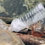 From tea bags to Miatas, bioplastics on the rise bioplas