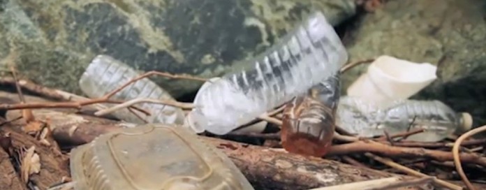 plastic products in landfill bioplas