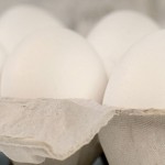 eggs in carton