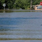 Cowboys save hundreds of cattle from rising waters of Texas flood flood
