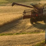 Brewing storm: 2015 net farm income could be lower than 1990s