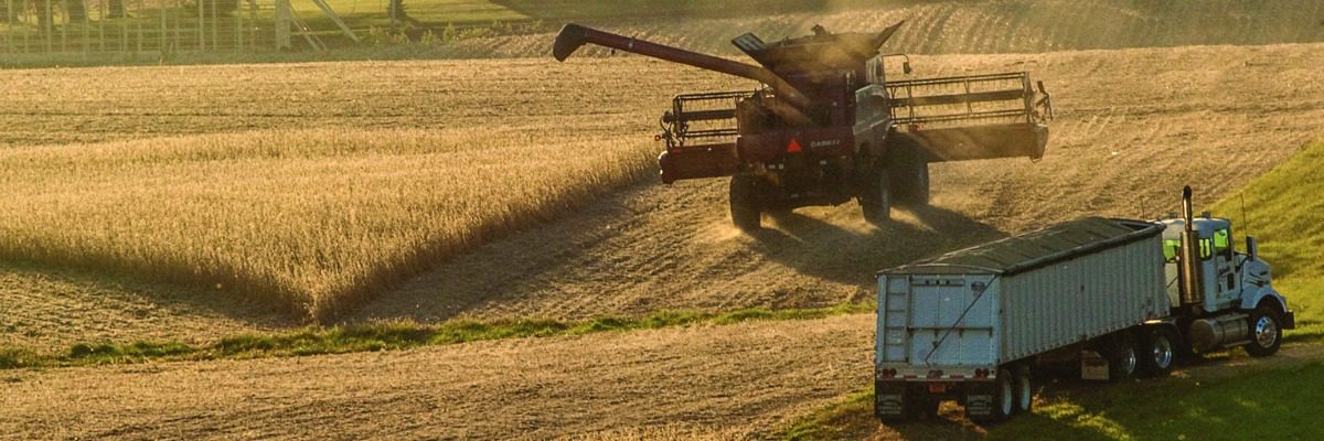 Brewing storm: 2015 net farm income could be lower than 1990s