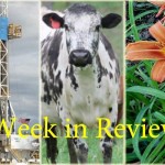 Farm and Dairy’s week in review: 6/13 Week in Review 6/13