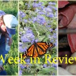 Farm and Dairy’s week in review: 6/20 Week in Review 6/20