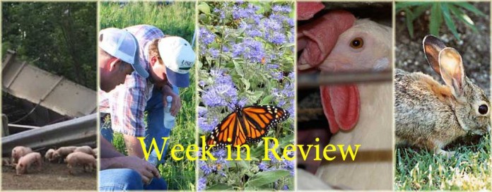 Week in Review 6/20 Week in Review 6/20