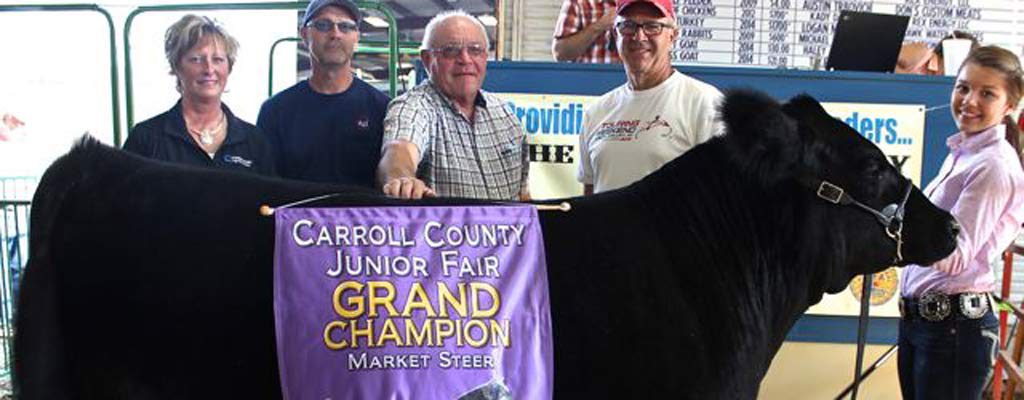 Carroll County 2015 Grand Champion Market Steer