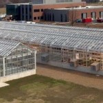 New greenhouses boost research, competitive edge OSU Williams greenhouses