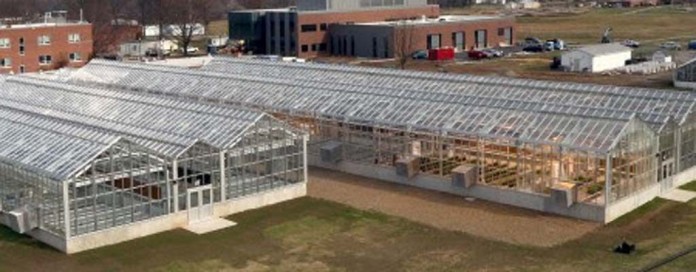 OSU Williams greenhouses OSU Williams greenhouses