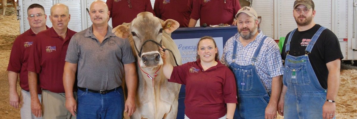 At national sale in Pa., top Brown Swiss brings $18,700 bid