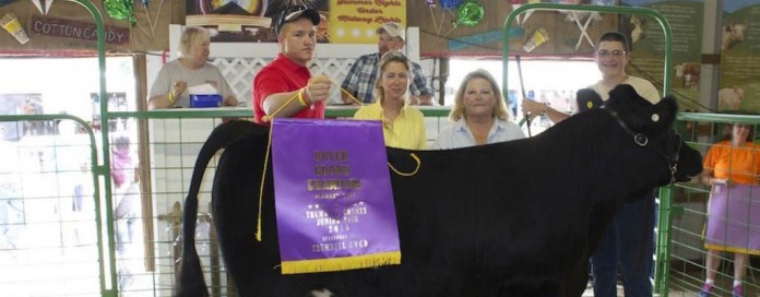 Trumbull Grand Champion Market Beef