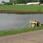 View USDA’s June 30 planted acreage report with healthy skepticism flooded soybeans/Stan Smith photo