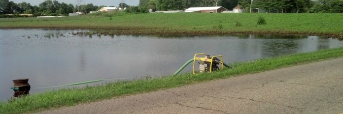 beans under water.1200 flooded soybeans/Stan Smith photo