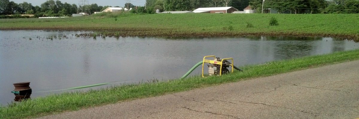 flooded soybeans/Stan Smith photo