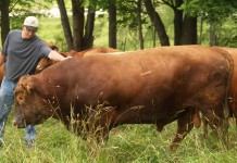 Select Sires Inc. seeking summer interns