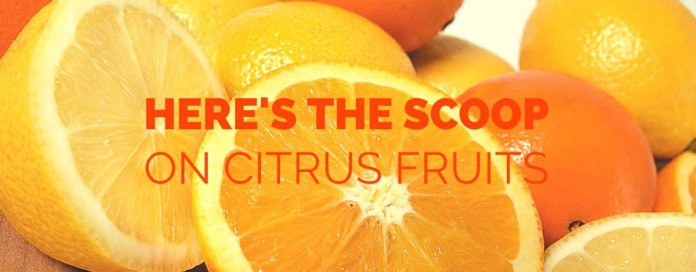 citrus-fruits citrus fruits