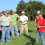 Pastures keep improving at Lone Pine Ranch