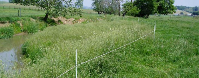 stream exclusion fencing