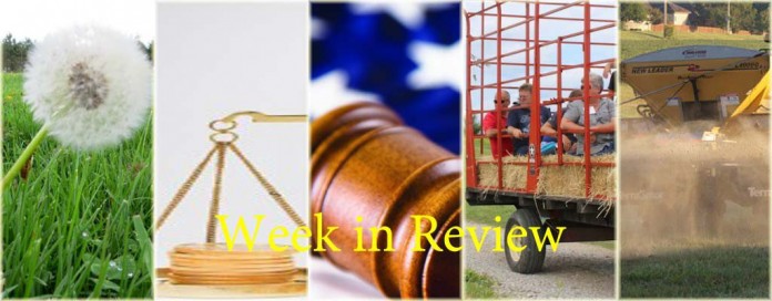 Week in Review 7/4 Week in Review 7/4