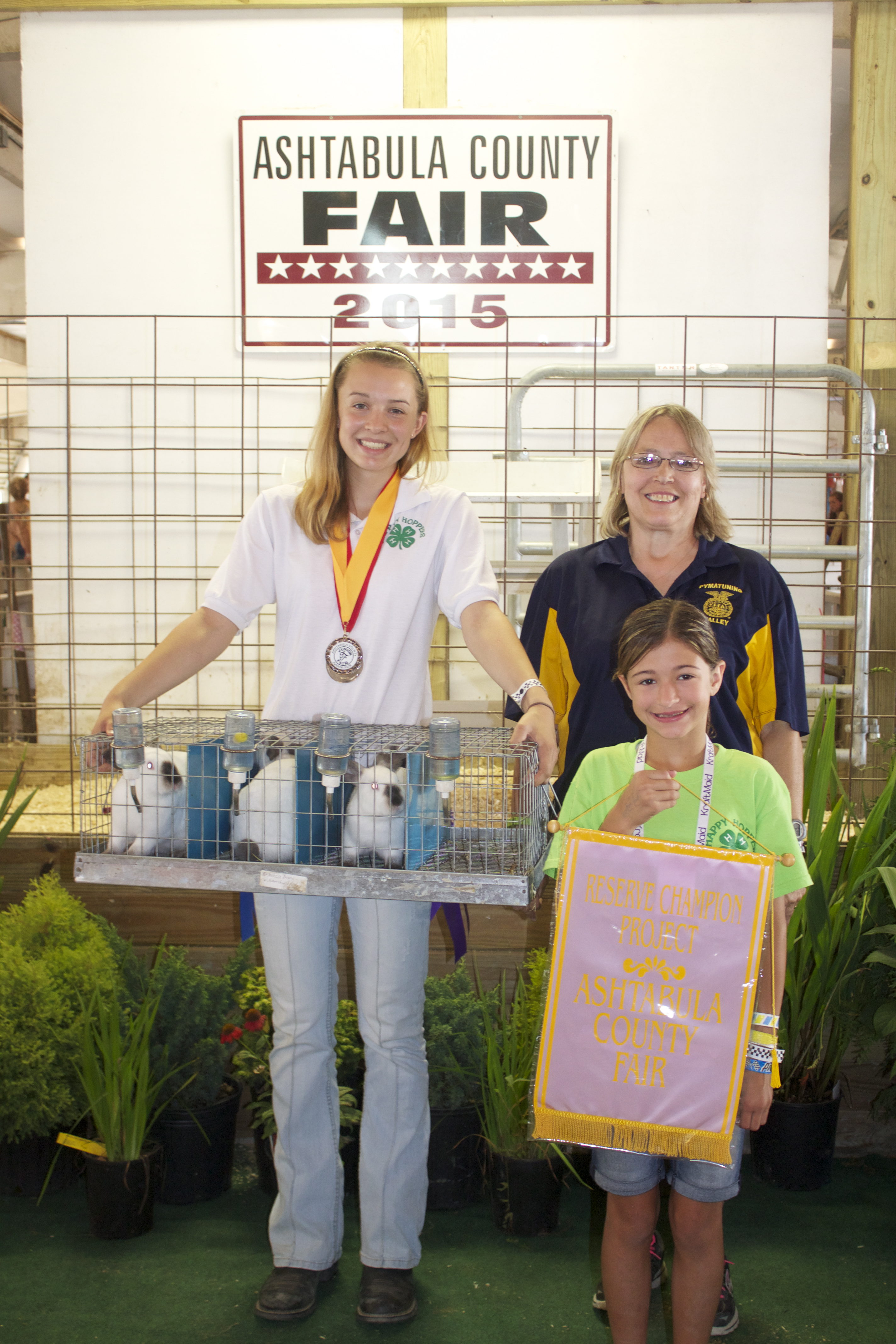 Ash gr ch market goat