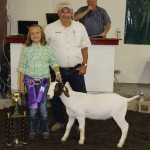 Columbiana gr ch goat