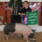 Columbiana gr ch hog