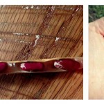 Jacob’s cattle beans