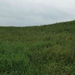 Ground roof falls, leaving Musser family wondering if they’ll lose farm Musser family farm sinking