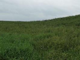 Musser family farm sinking