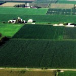 World economic woes hit home; soft grain trade, cattle to follow