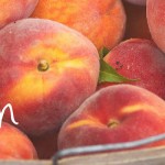 Ask Jen about being peachy basket of peaches