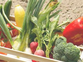 Ask Jen about what to do with too many tomatoes basket of vegetables