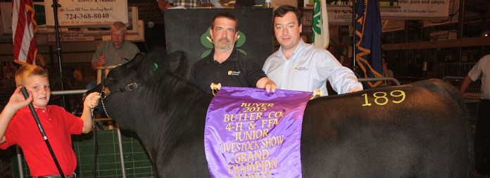 butler farm show.grand champion steer