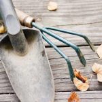 How to clean up your garden for fall garden tools and fall leaves