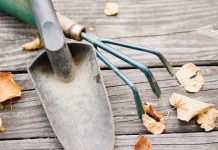 Fall tips: Preparing your garden for next year garden tools and fall leaves