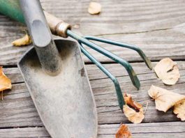 garden tools and fall leaves