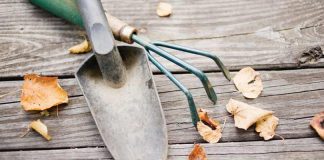 Fall tips: Preparing your garden for next year garden tools and fall leaves