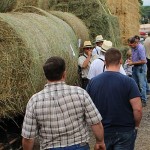 Tough year for haymaking, as well Hay sale