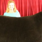 lawrence grand champion steer