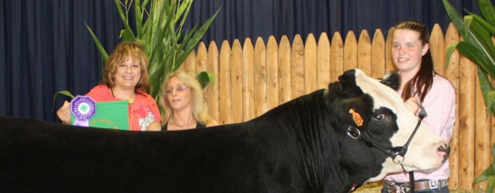 mercer.grsteer.1024 2015 Mercer County (Pa.) 4-H Roundup