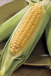 sweet corn