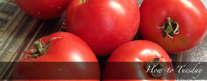 tomatoes tomatoes on counter