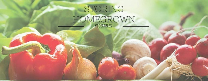 vegetables vegetables