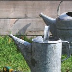 watering can